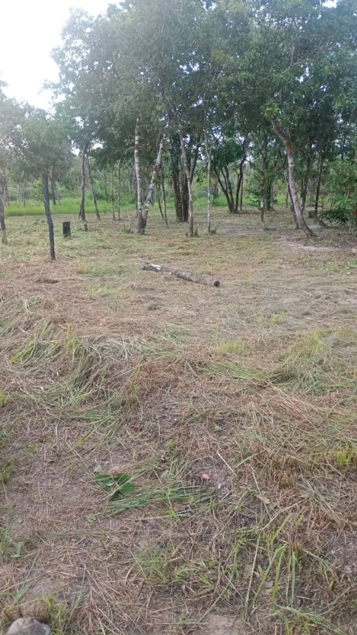 Foto - Belém - Cabanagem