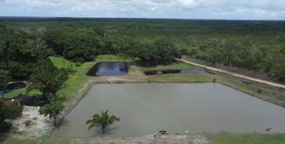 Vendo Propiedade Em Morros- Ma 35 Ha - Foto 5