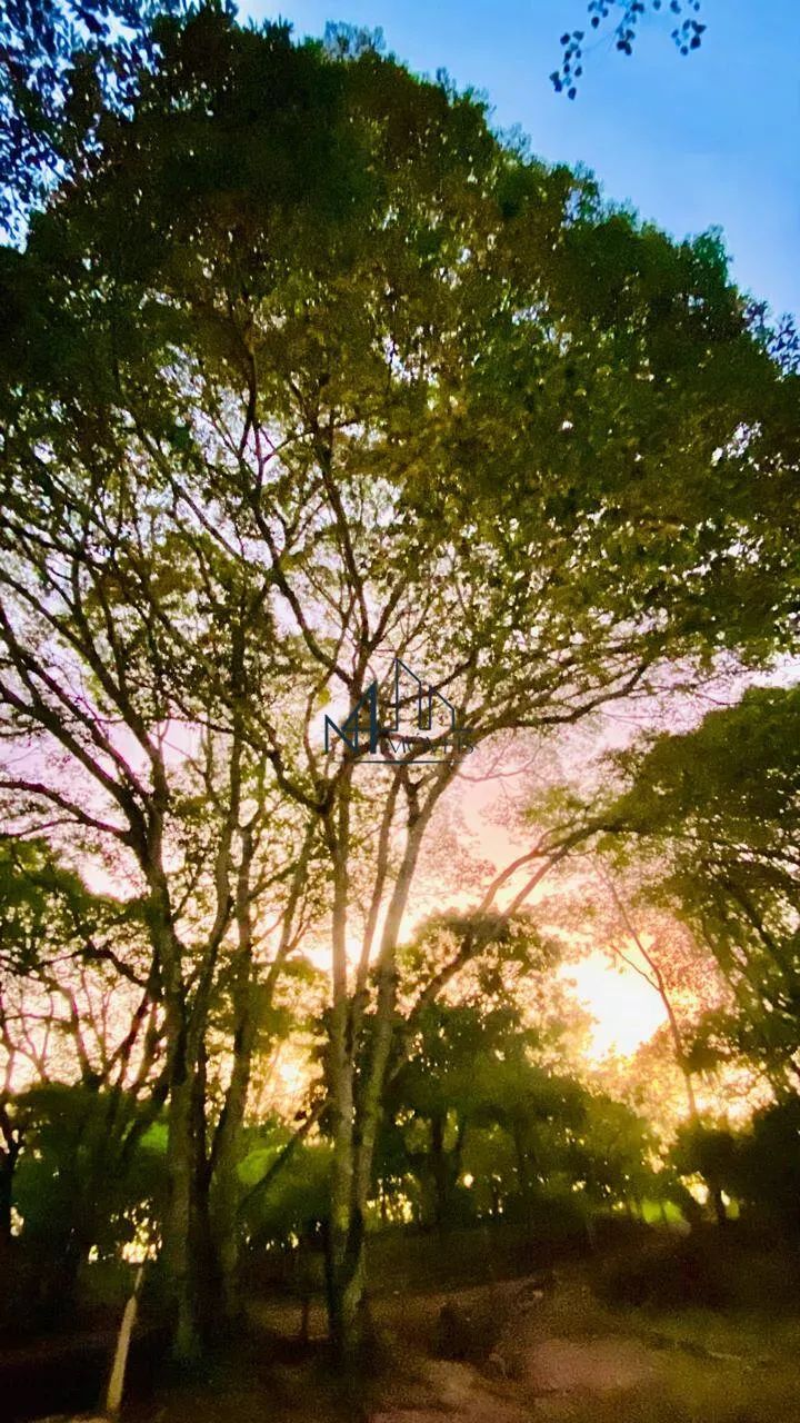 Chácara - Rosa dos Ventos - Aparecida de Goiânia - GO - Foto 10
