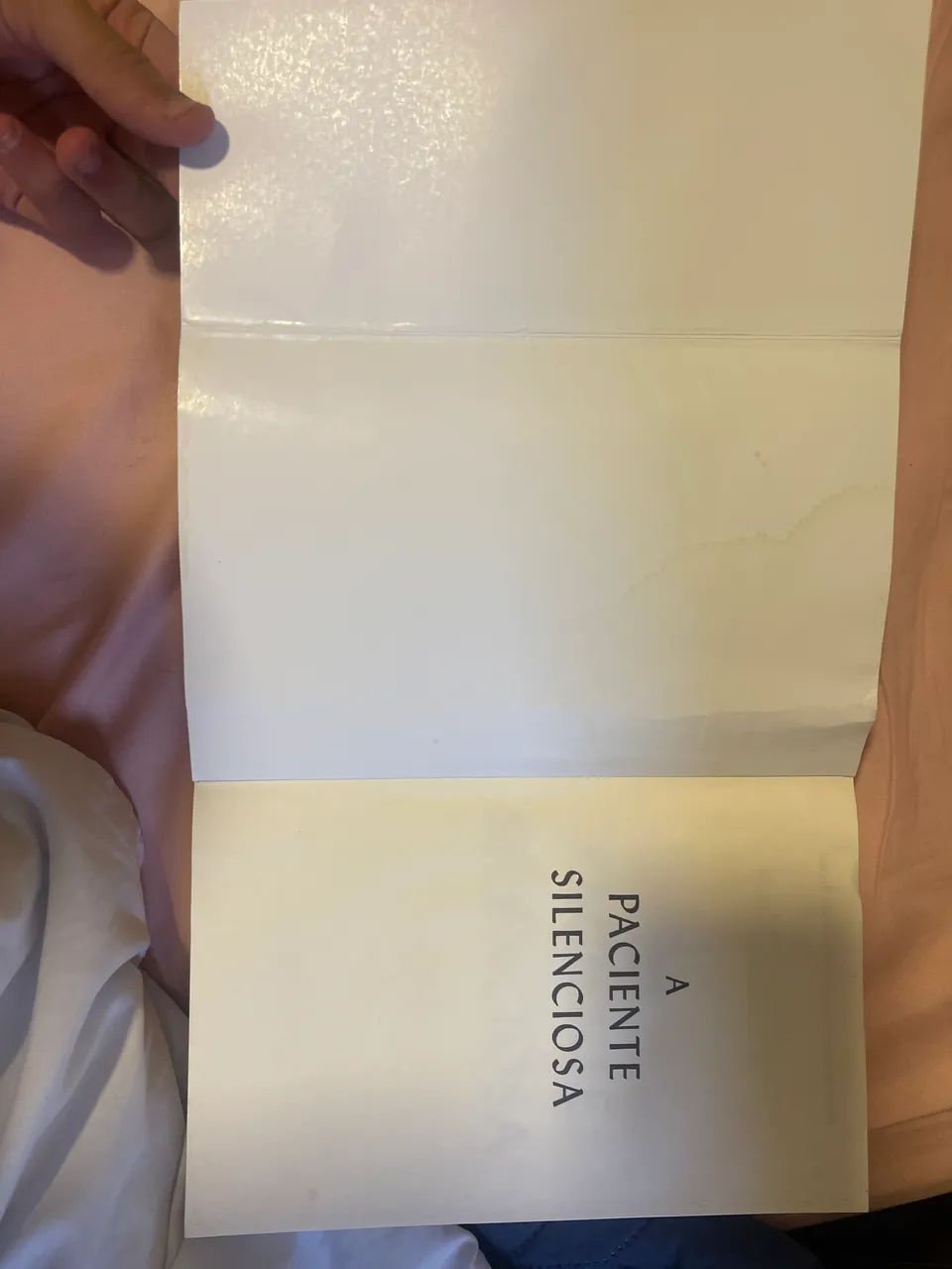 Livro / A paciente silenciosa - Foto 3