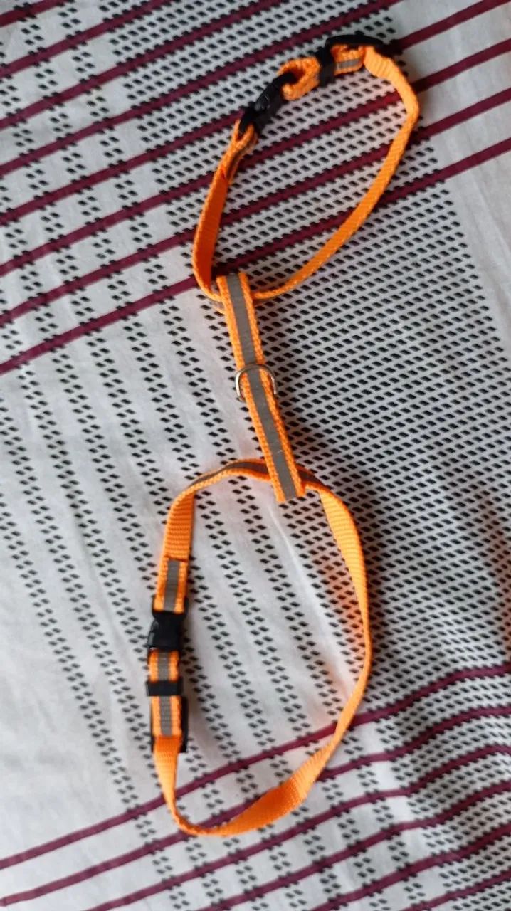 Pet Harness64962123567618121