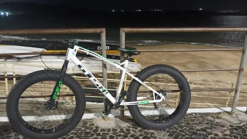 BICICLETA FAT
