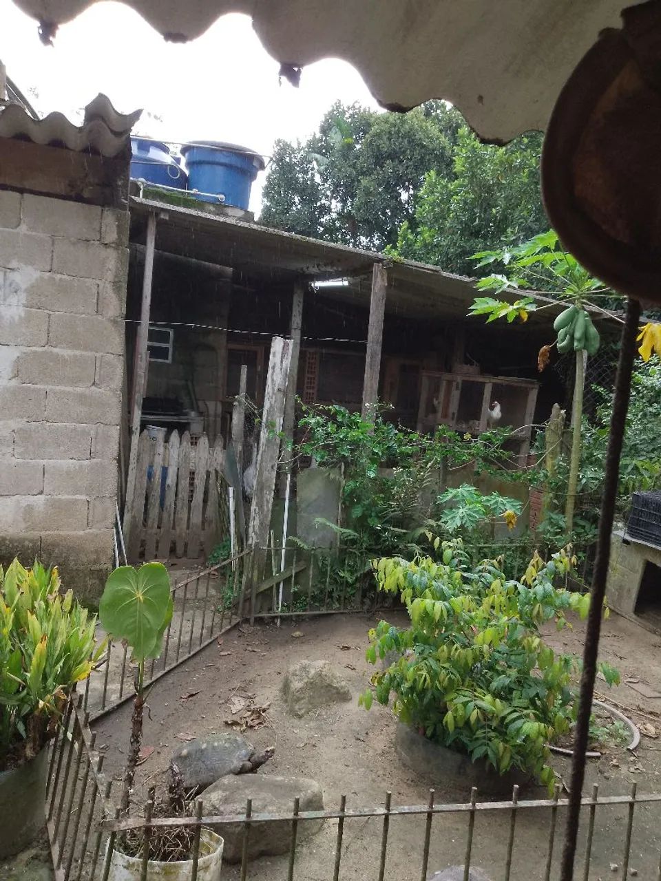Chacara 5000 m2 - Foto 3