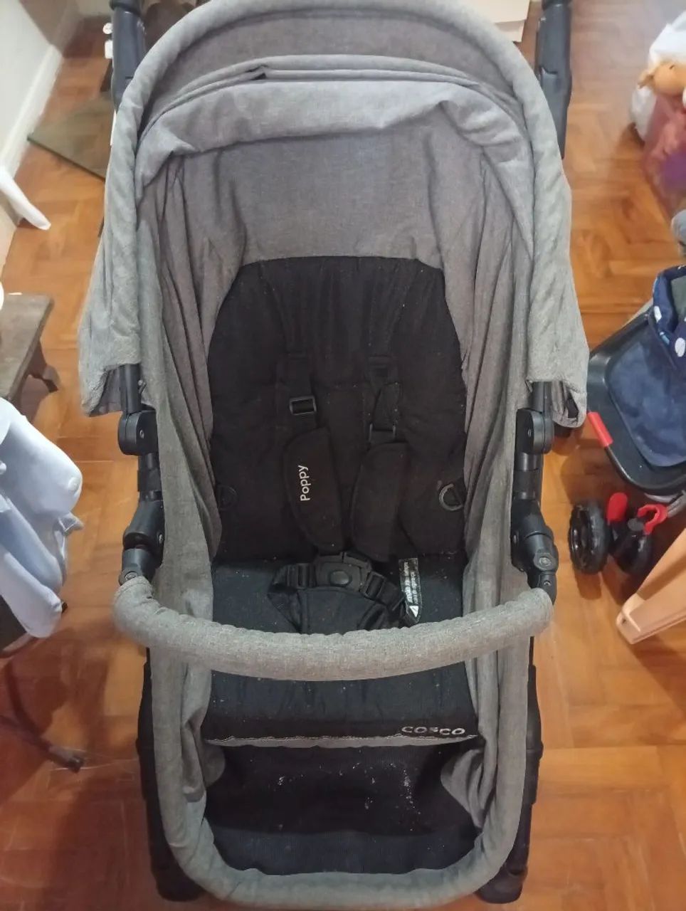 Carrinho de Bebê Burigotto 