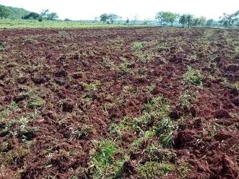 Fazenda de 42ha. em Bandeirantes - Foto 5