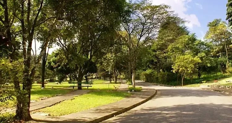 Jazigo com 5 gavetas no Cemitério da Paz em SP.  - Foto 2