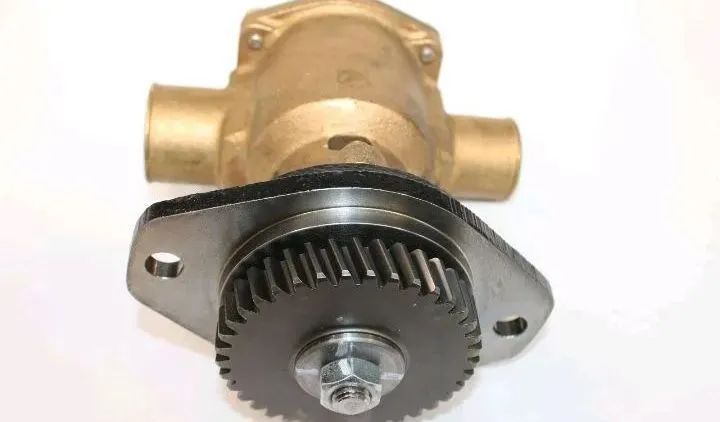 Bomba centrífuga de água salgada Sherwood P1716C - Foto 5