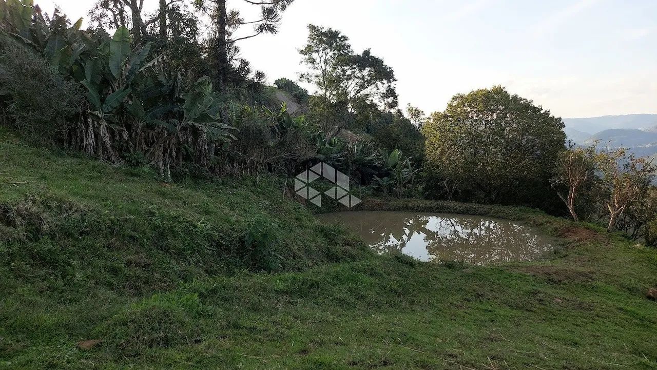 Área de 12ha com casa e em Monte Belo do Sul - Foto 4