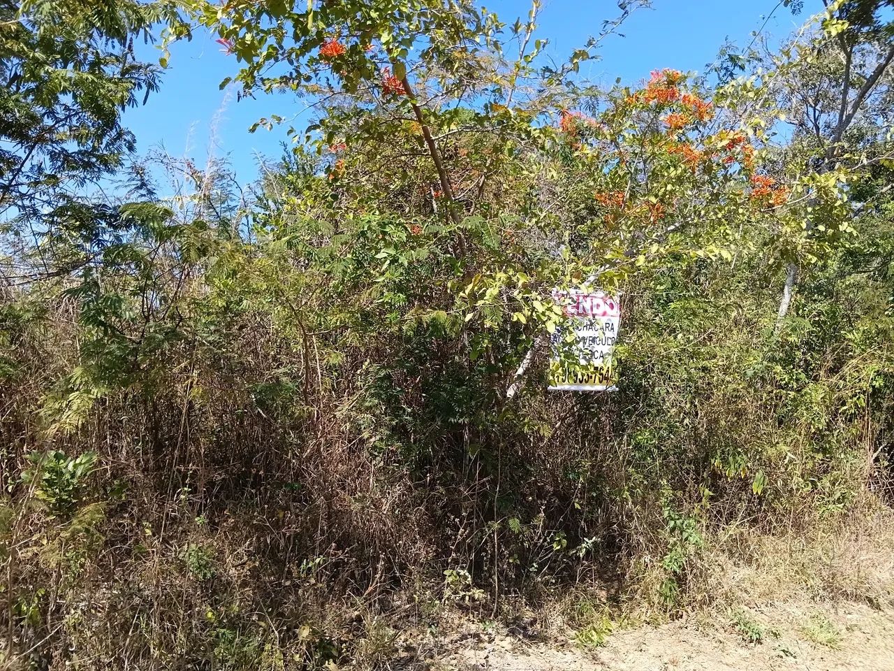Chácara em Muniz/Caeté - Foto 3