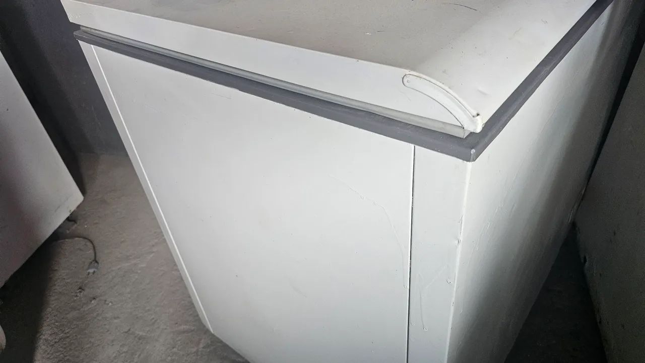 Freezer 300L  - Foto 2