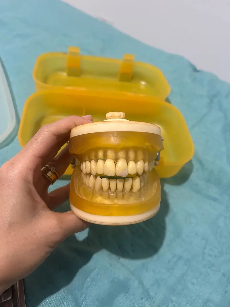 MANEQUIM ODONTOLÓGICO 