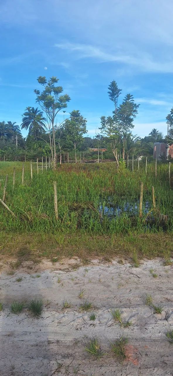 terreno ponta do ramo ( ilhéus - bahia ) - Foto 2