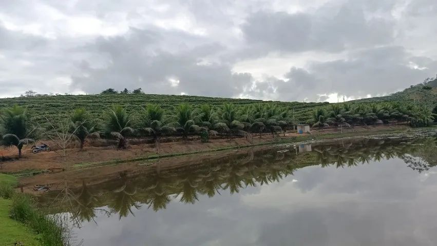 Terra com casa a venda  - Foto 2