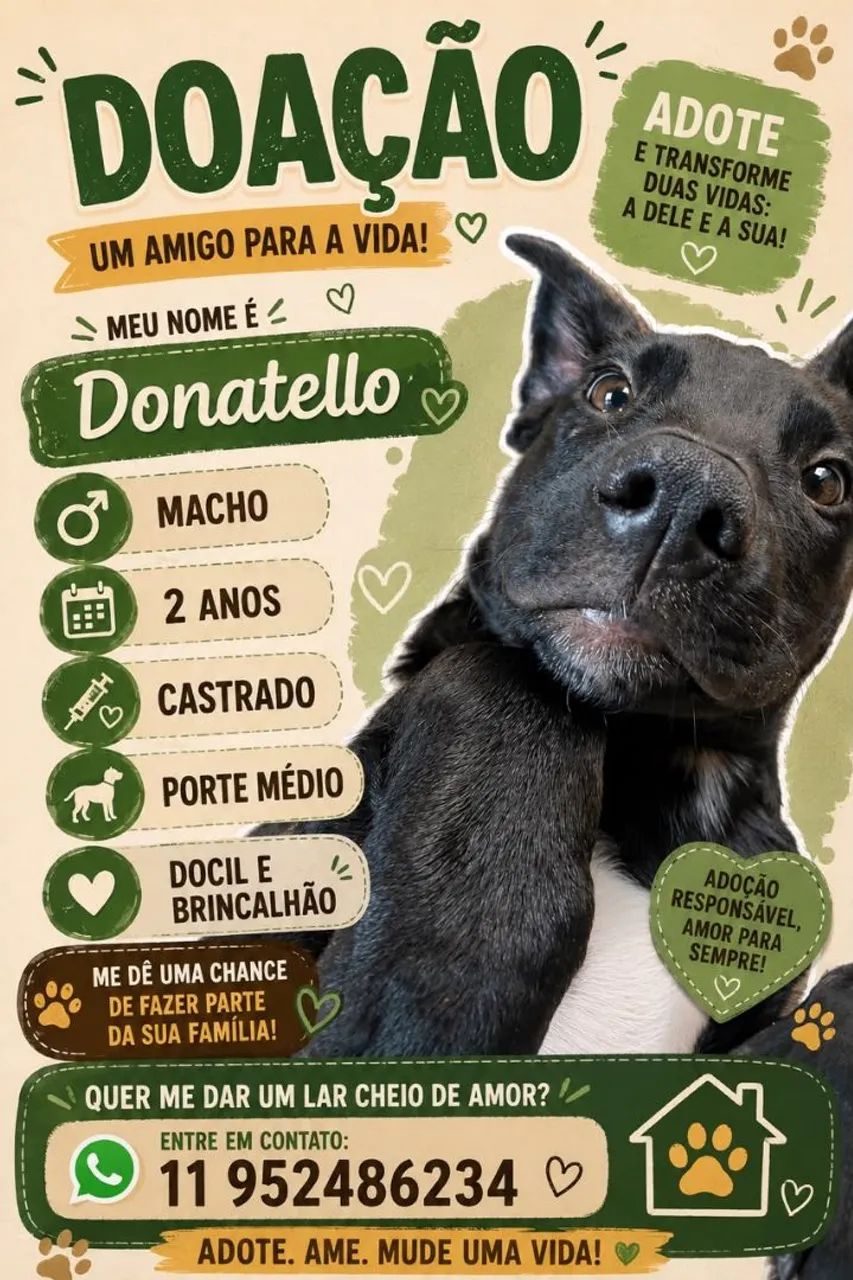 Doação de Cachorro 
