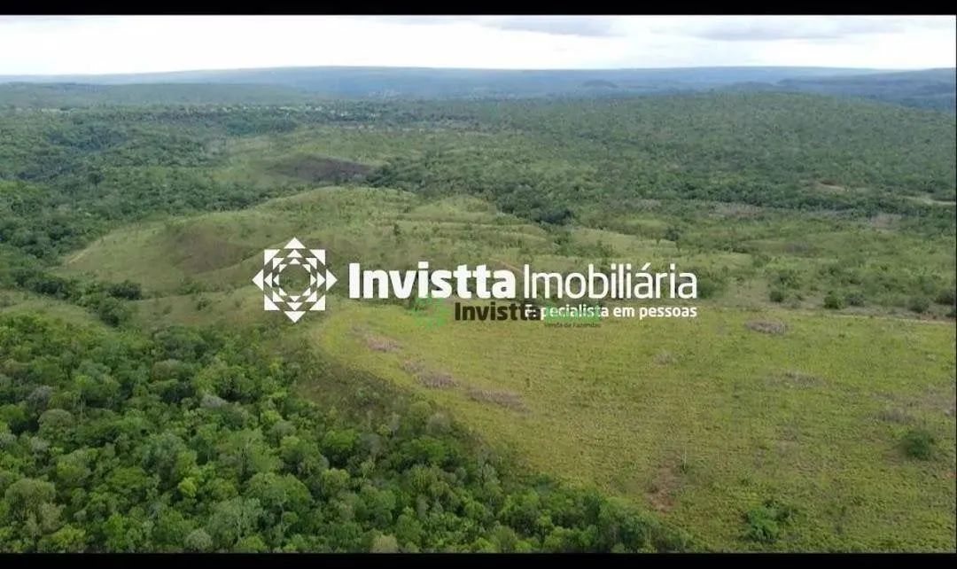 Fazenda de 200 alqueires com margem no Rio Tocantins e aptidão agrícola - Foto 5