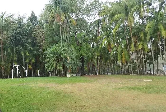 Área Rural 4 alqueires - Mandaguari - PR - Foto 3
