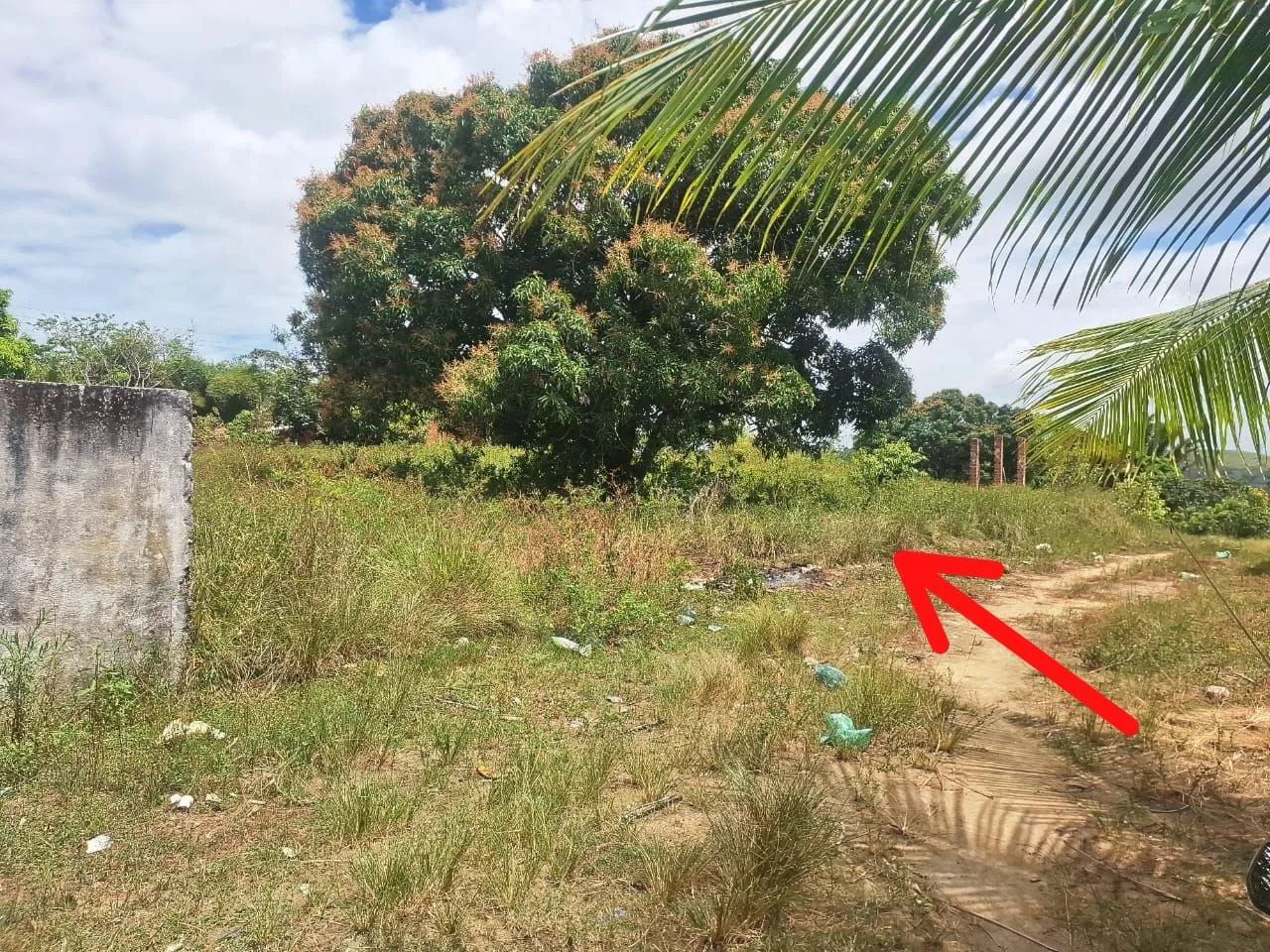 Vende-se 3 lotes de terrenos 12x30 (MURIBECA)  - Foto 2