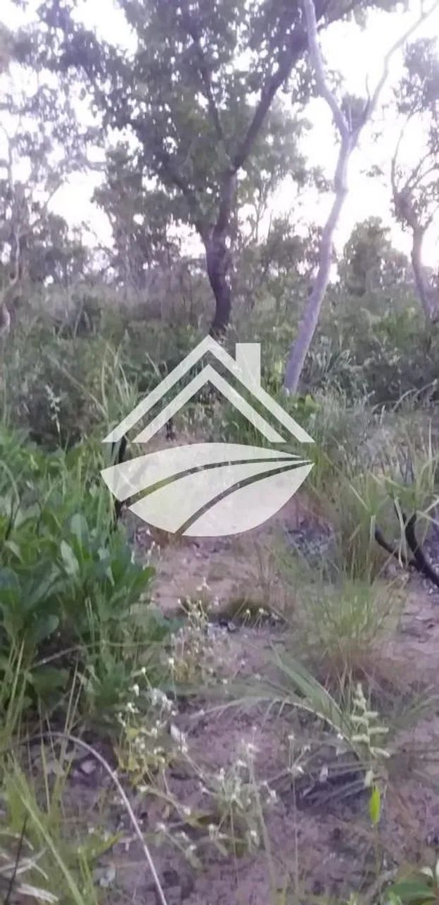 Fazenda para Venda em Lizarda - Foto 3