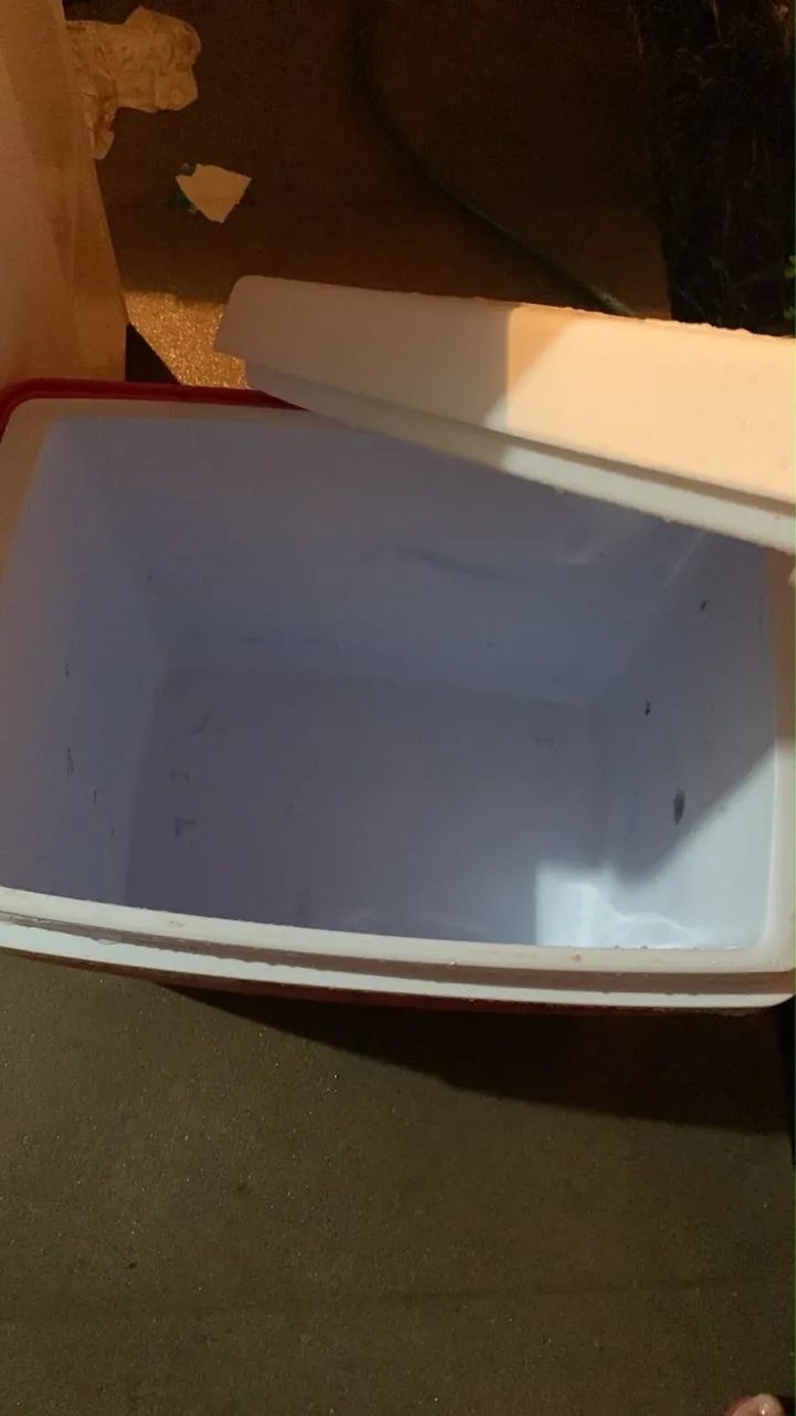 cooler 34L