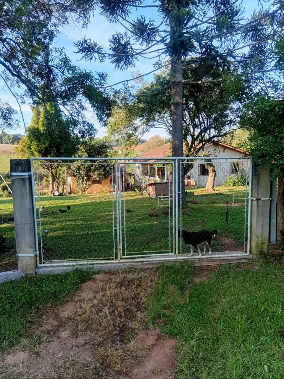 Vendo chácara  - Foto 2