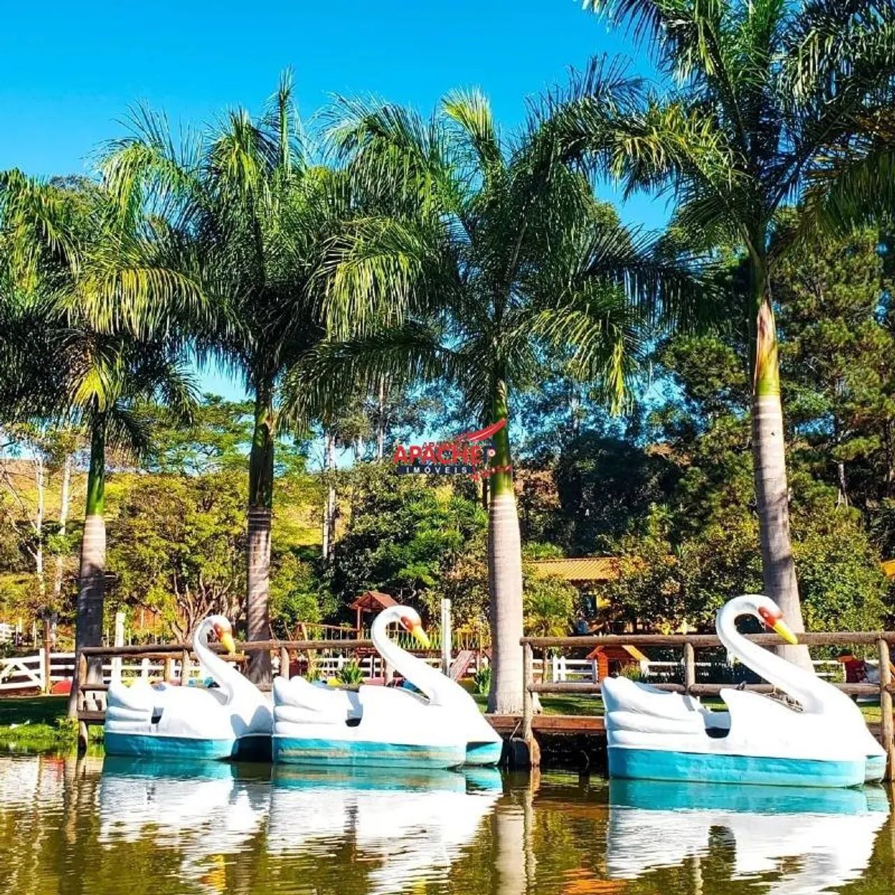 Sítio com lagoa, casa e restaurante a venda em Teixeira - MG - Foto 3