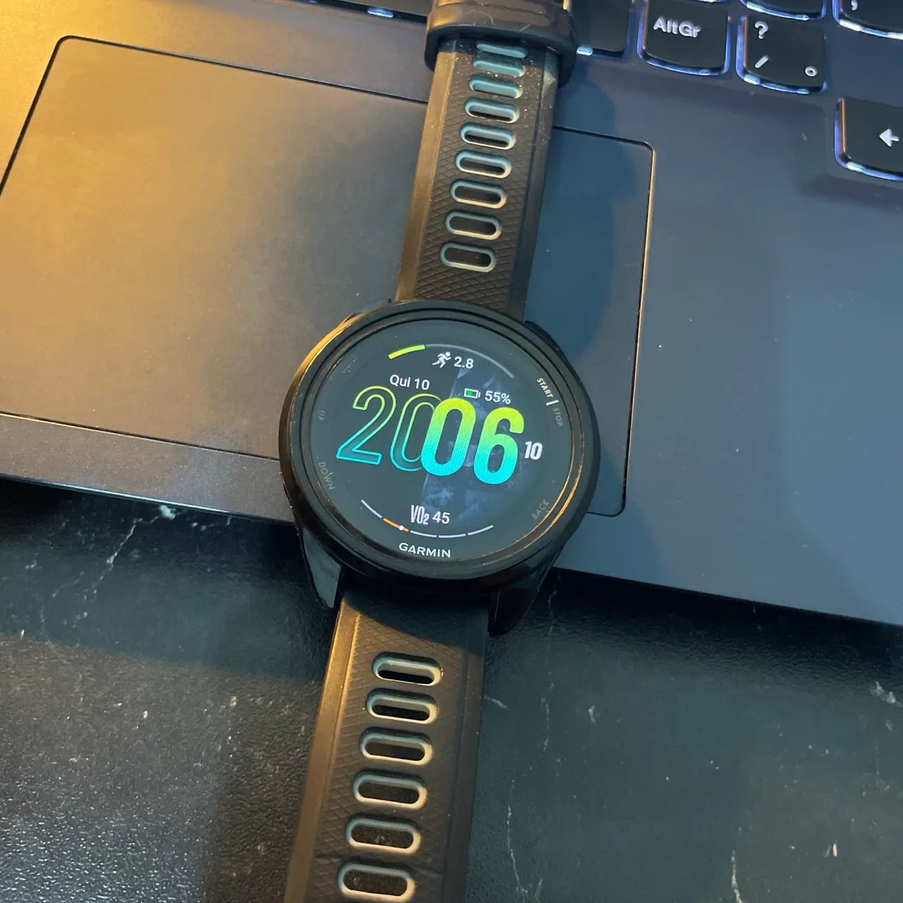 Garmin 165 
