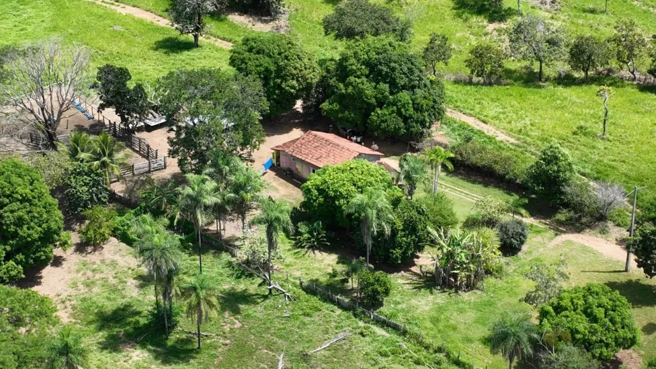 Fazenda a venda em Jaú do Tocantins!!! - Foto 5