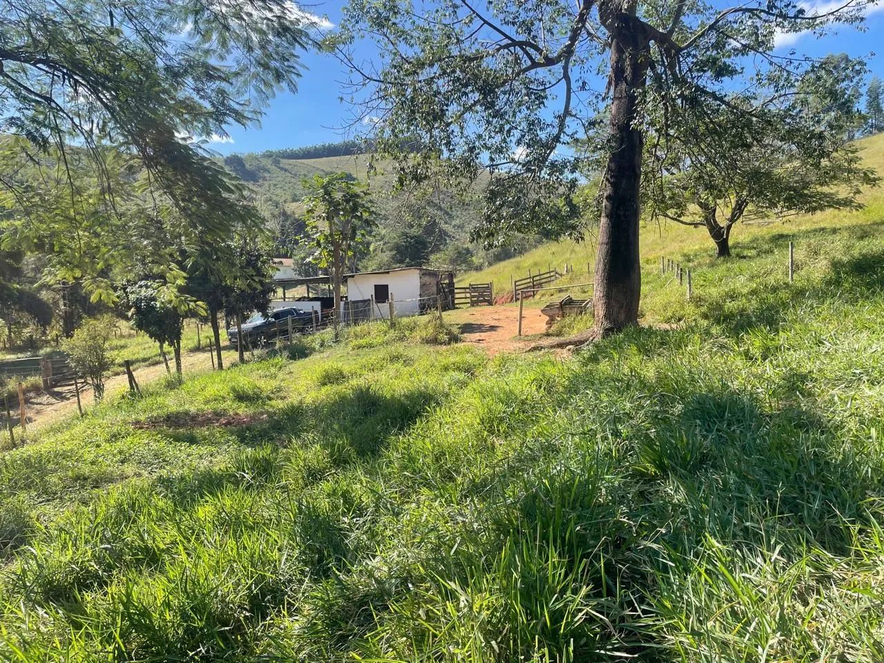 Sítio em São Luíz do Paraitinga - Foto 2