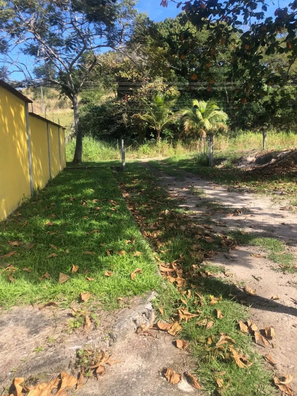Excelente casa com galpão e area aberta