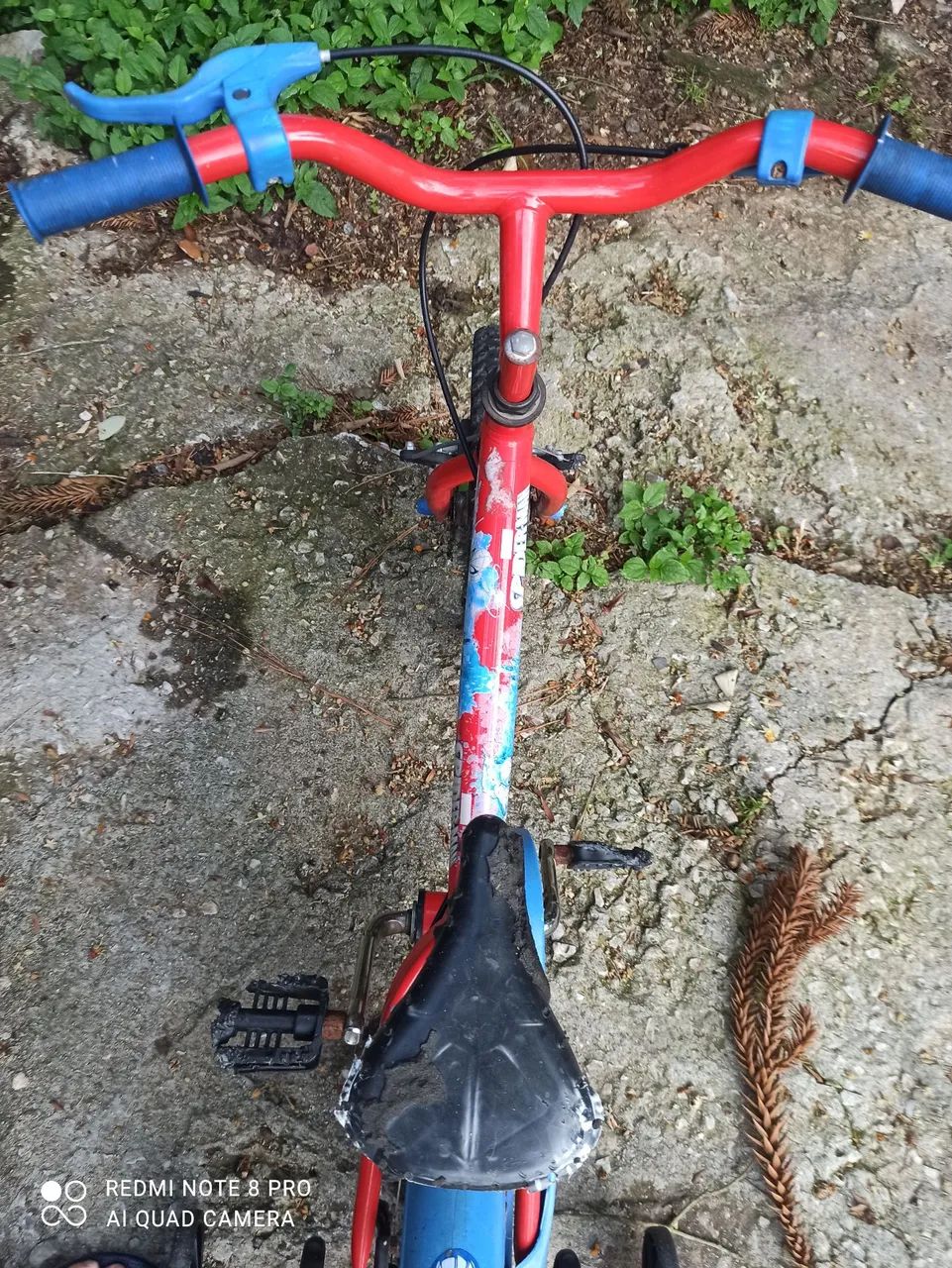 Bicicleta pra hoje 