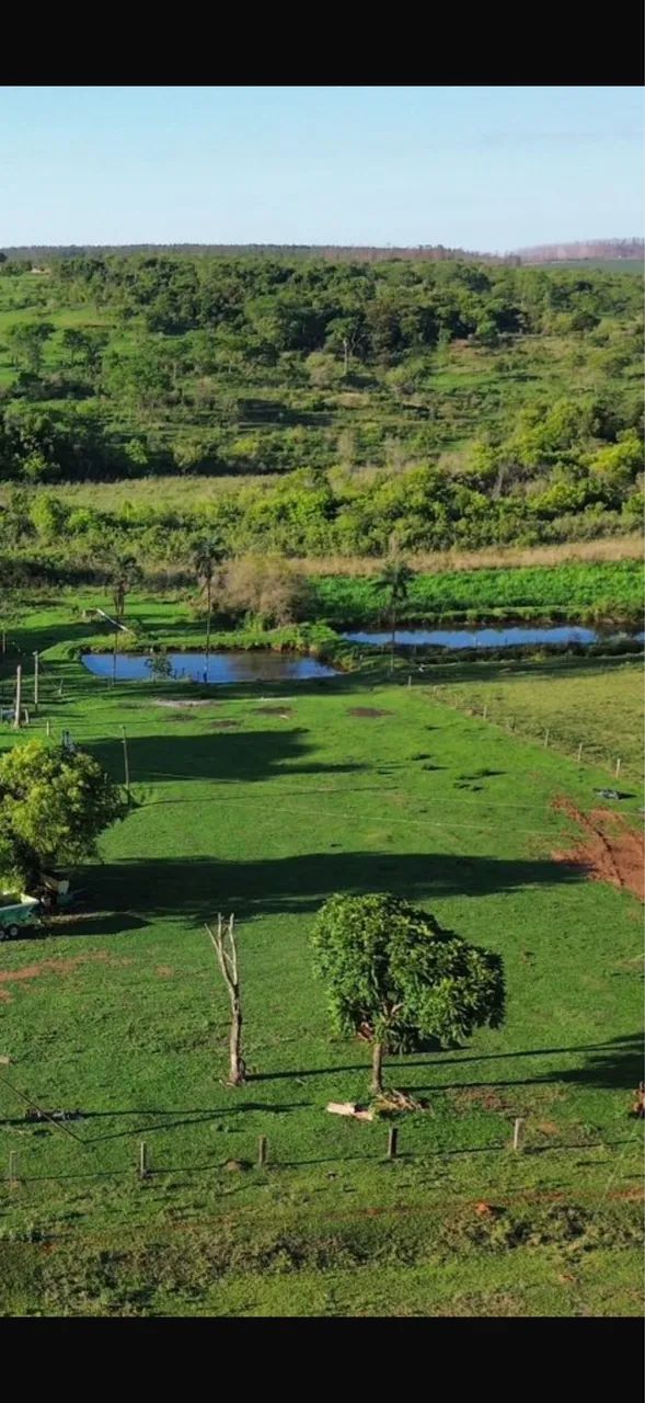 Excelente fazenda no triângulo mineiro  - Foto 2
