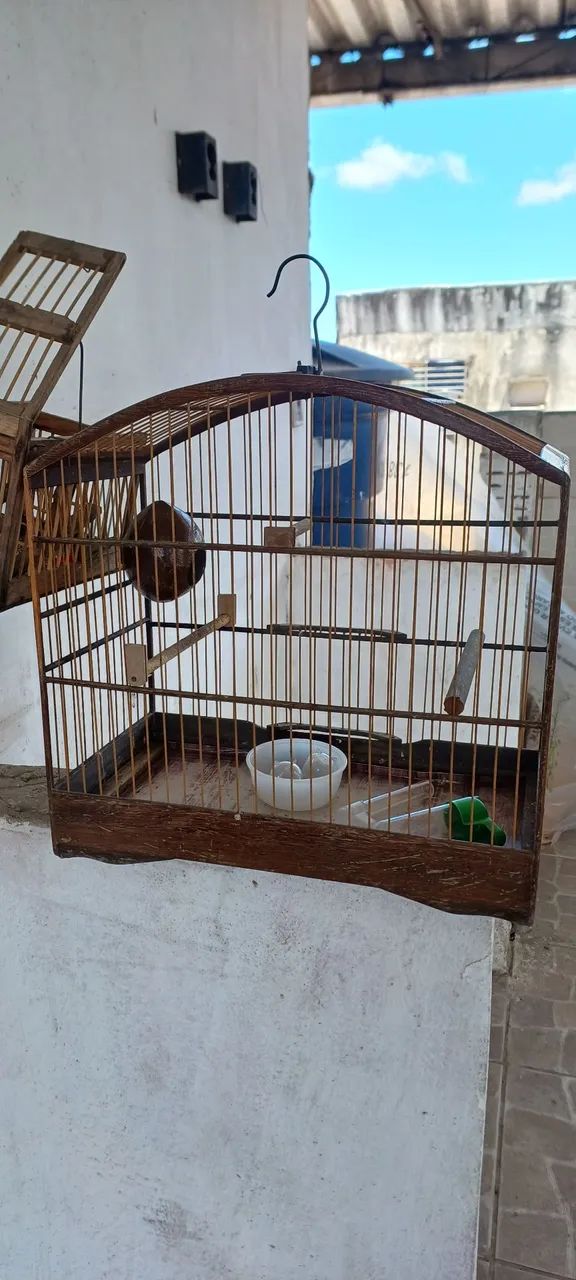 Gaiola - Foto 2