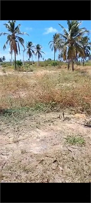 Terreno 200m² - Centro - Foto 5