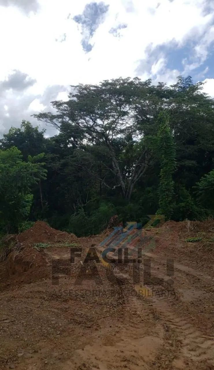 Chácara 44.000m² | Escriturada | Córrego | A 4km da JK - Foto 3