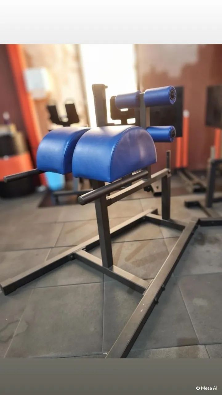 GHD  ( Aparalho para abdominal e lombar)