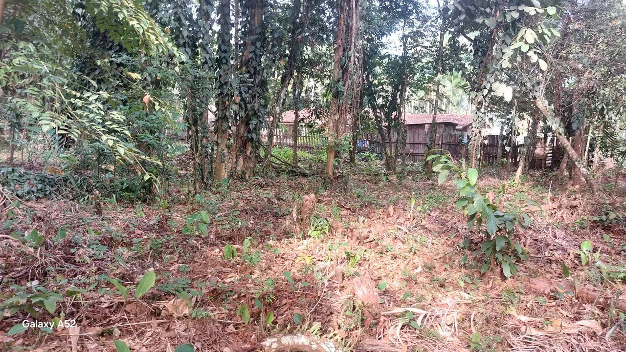 TERRENO CAIÇAUA - Foto 3