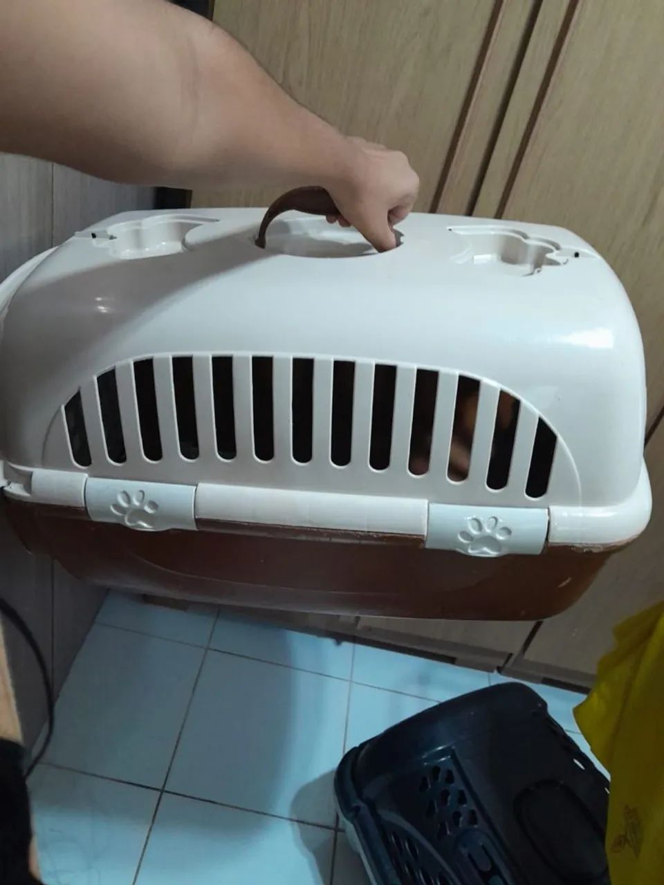 Caixa pet de transporte grande