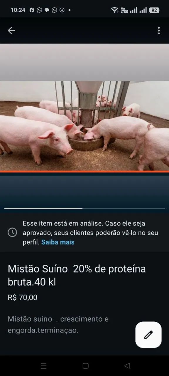 Mistão suínos 20%de proteína bruta 