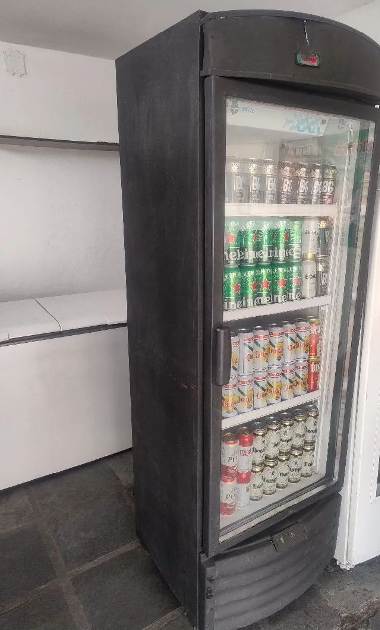 Freezer Vertical 430L