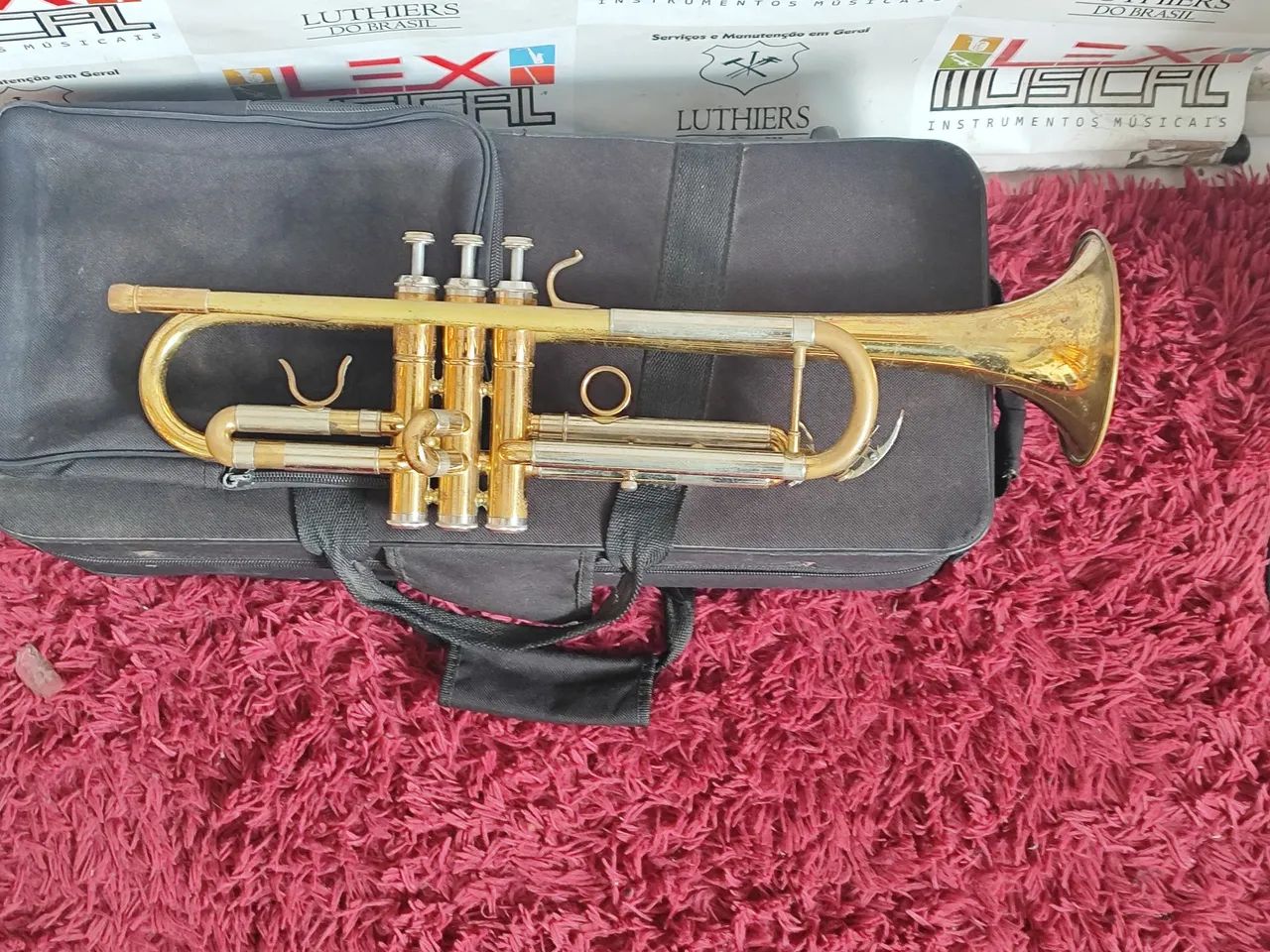 Trompete Blaver  - Foto 3