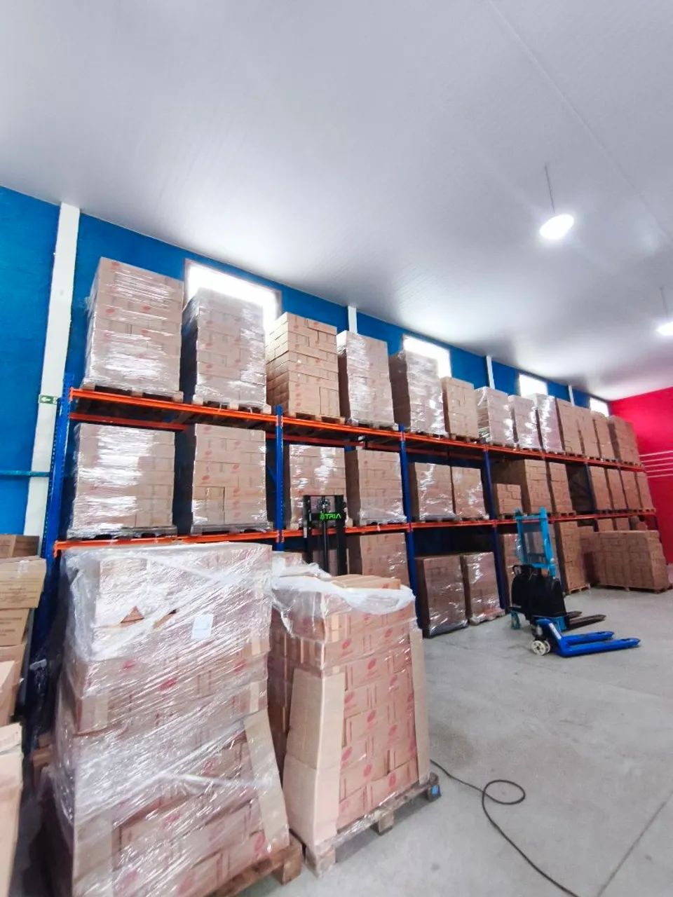 Porta pallet