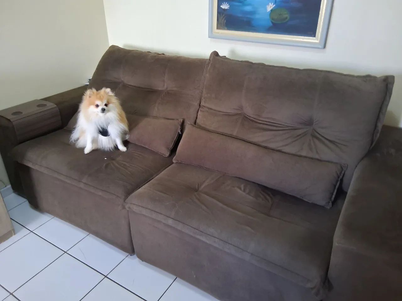 SOFÁ RETRATIL  - Foto 4