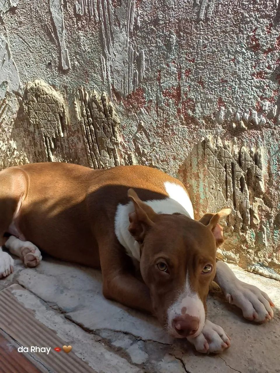 Doa-si - Foto 2