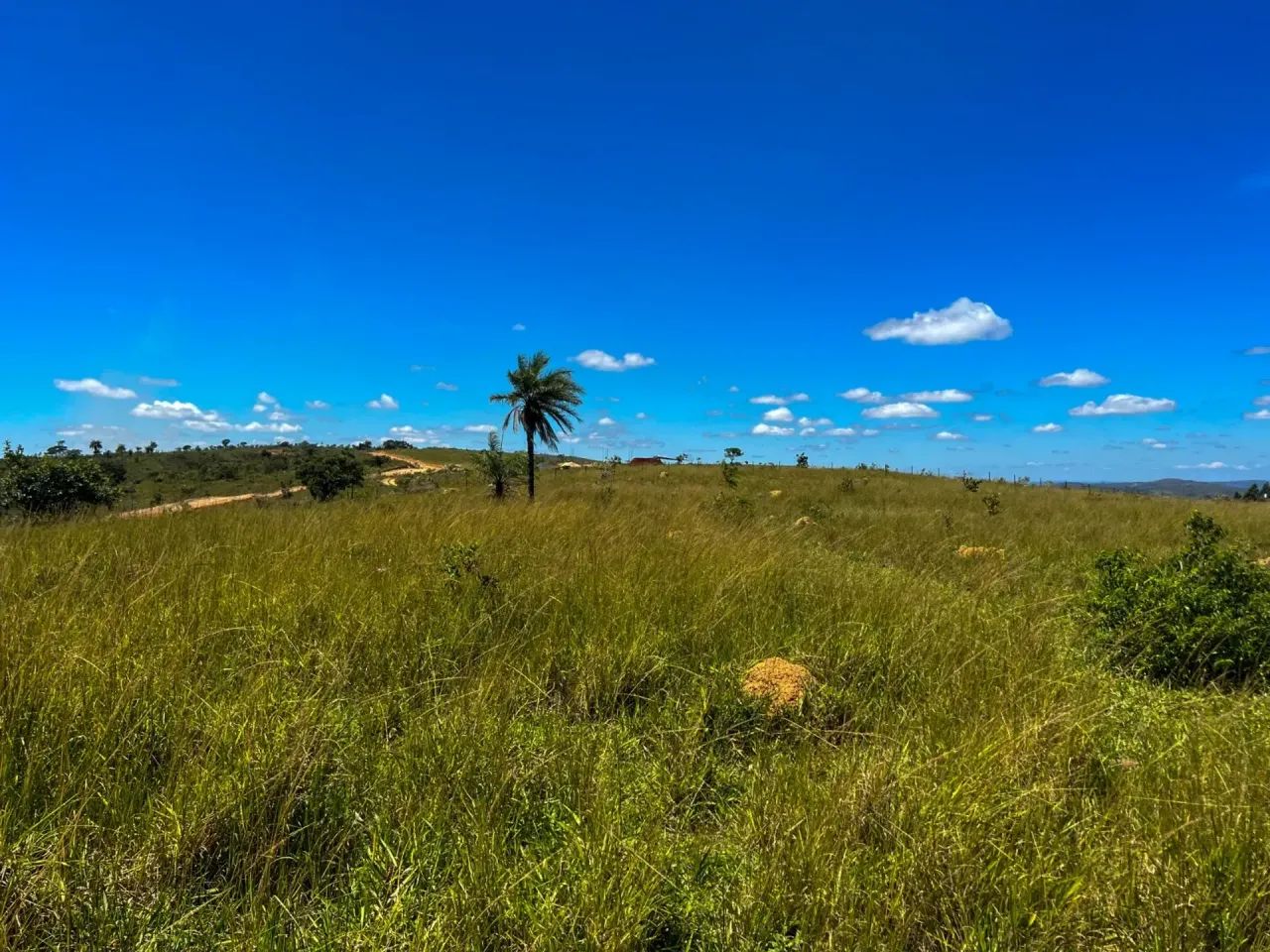 FAZENDINHAS sem entrada em 180 vezes - Foto 3