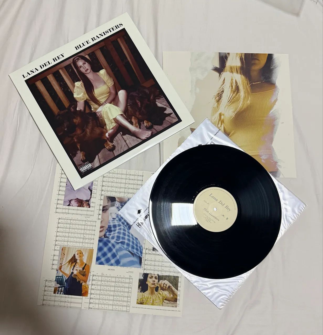 Lana Del Rey - Blue Banisters - Vinil