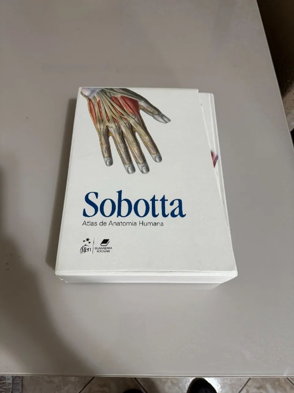 Livros Anatomia Sobotta-Perfeito estado! - Foto 3