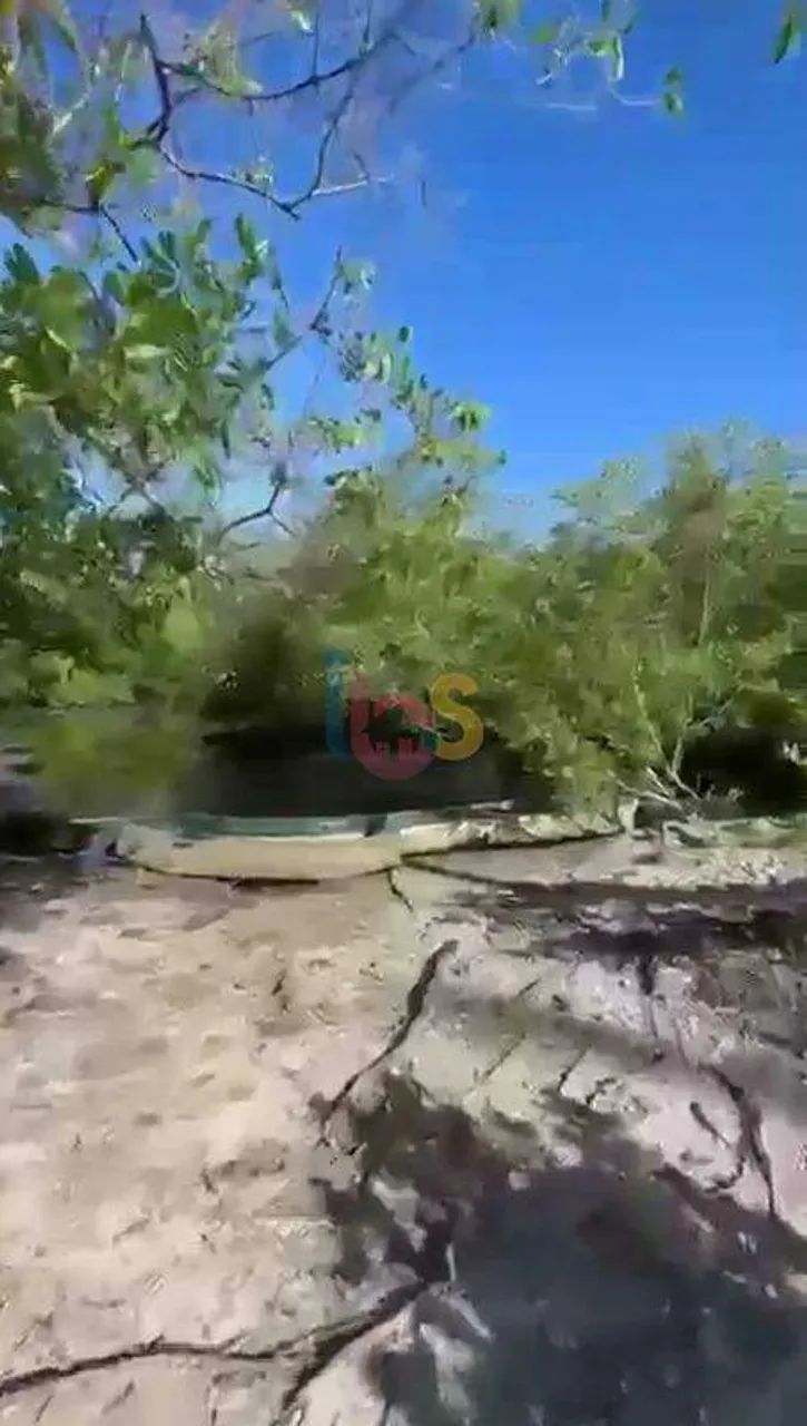 Vendo Àrea com 56 hectares em Comandatuba - Foto 3