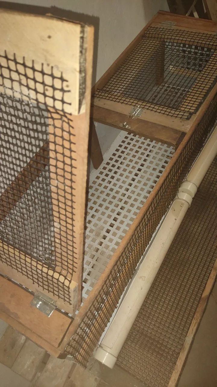 Viveiro para codornas  - Foto 3