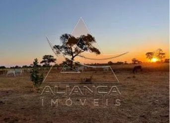 Fazenda - Britânia - Zona Rural - Foto 5