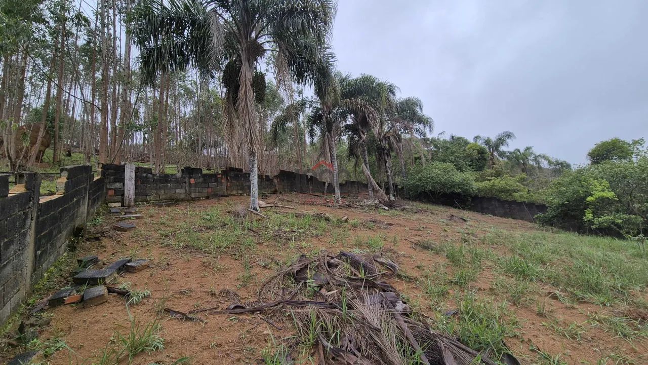 Lote / Terreno - Grama - Foto 4